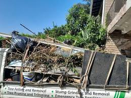 Professional Junk Removal Services in Gilman, IL